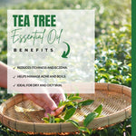 Load image into Gallery viewer, Benefit Of Tea tree Essential Oil