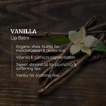 Load image into Gallery viewer, vanilla_lip_LB