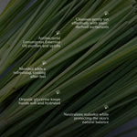 Load image into Gallery viewer, citrus_fresh_hand_wash