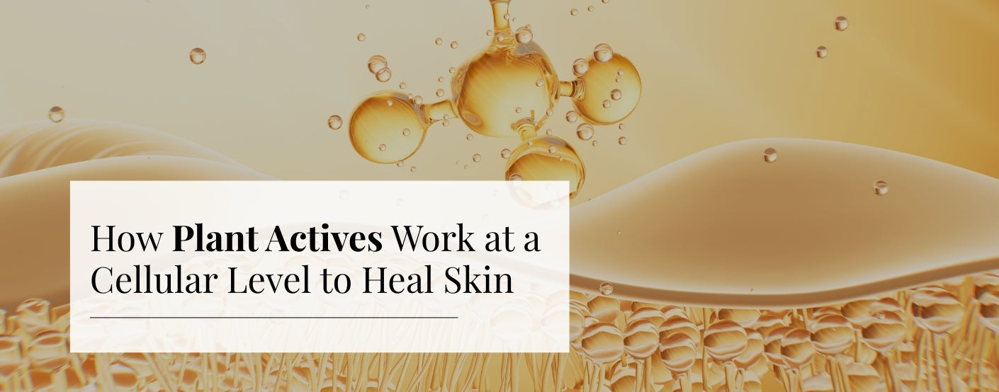 How Plant Active works