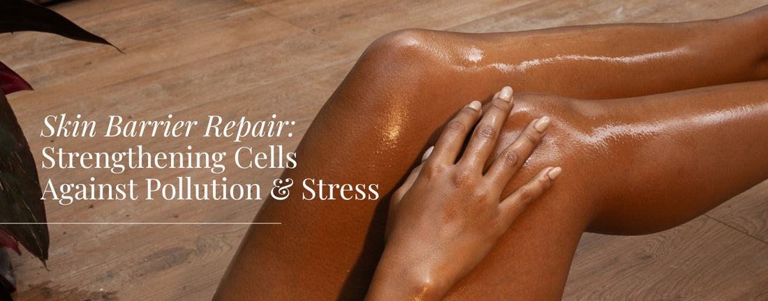 Skin Barrier repair 
