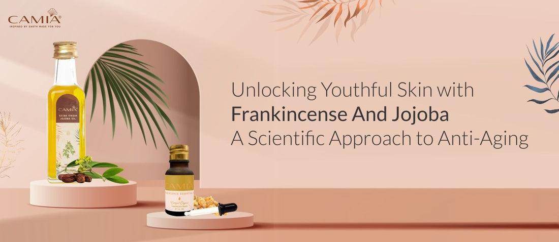 Unlocking Youthful Skin with Frankincense and Jojoba: A Scientific Approach to Anti-Aging