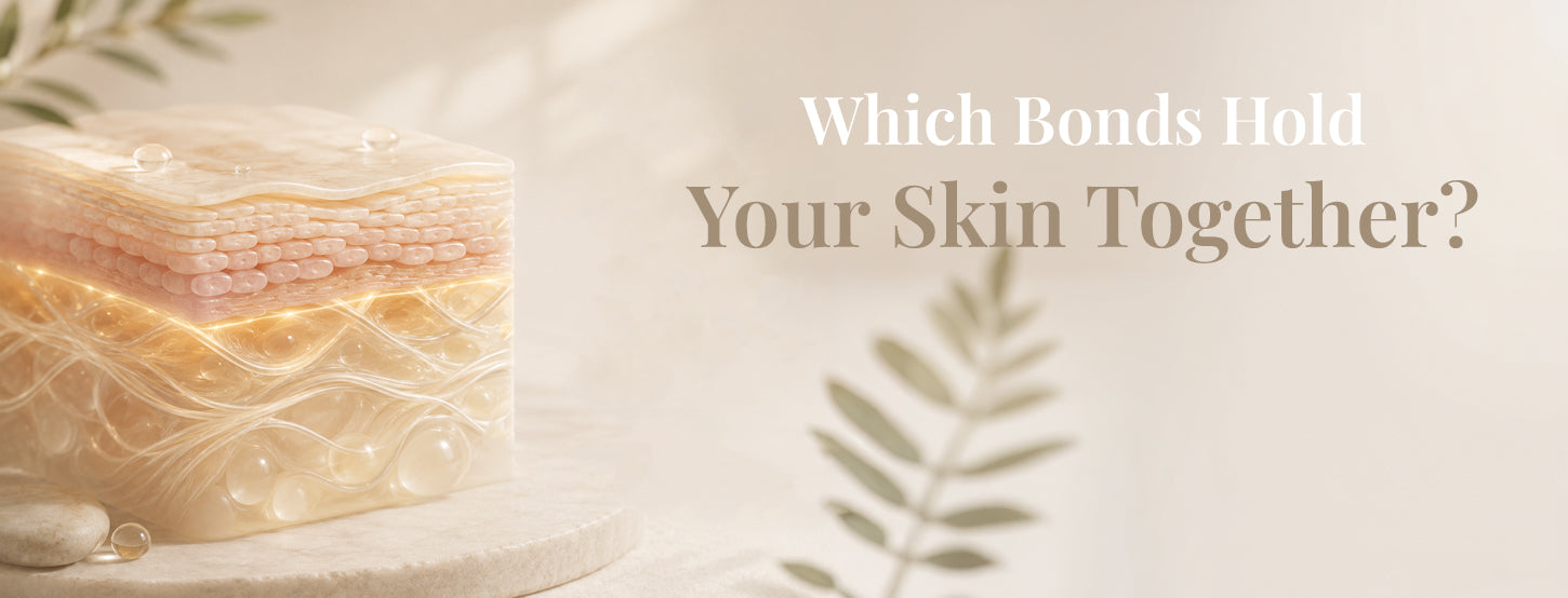 Which Bonds Hold Your Skin Together?