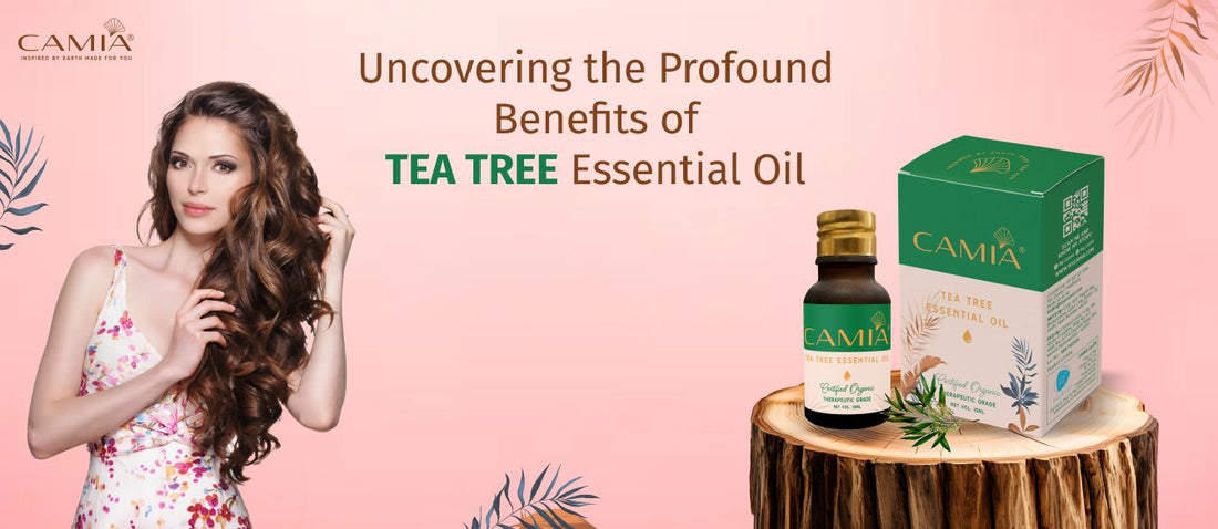 Uncovering the Profound Benefits of Tea Tree Essential Oil