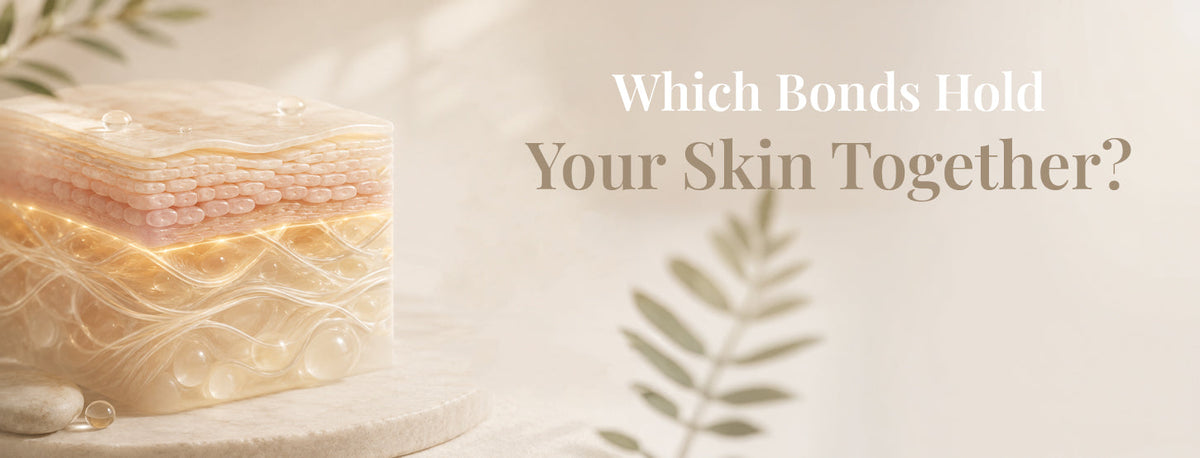 Which Bonds Hold Your Skin Together?