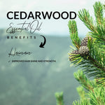 Load image into Gallery viewer, Organic Cedarwood Essential Oil
