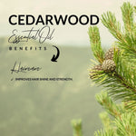 Load image into Gallery viewer, Benefit of Cedaarwood Essential Oil
