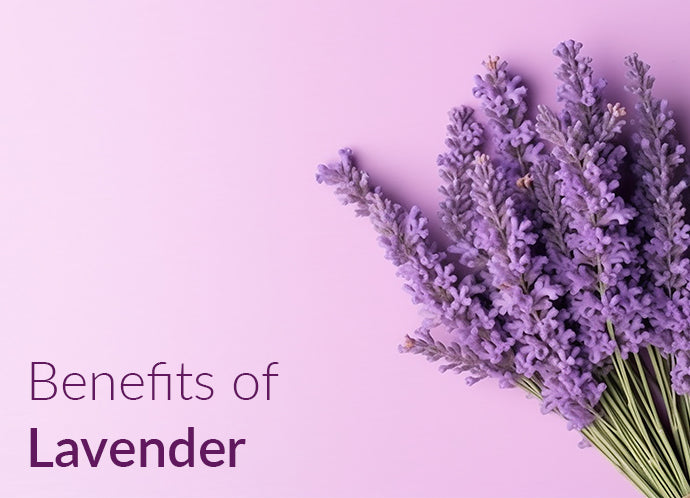Lavender_Benefits