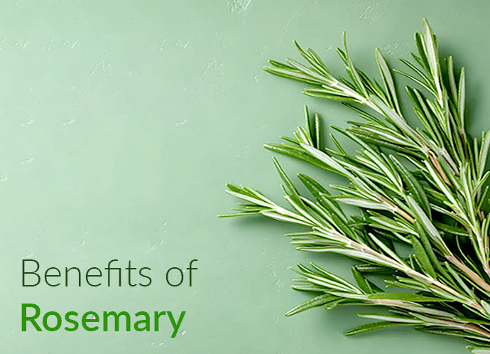 Rosemary_essential