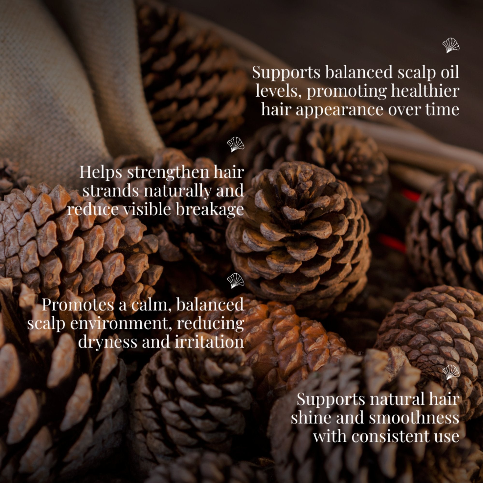 Cedarwood Essential Oil | For Hair Lustre & Shine | CAMIA