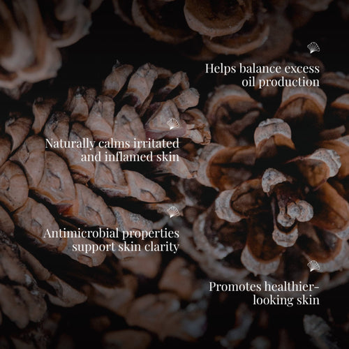 Handmade Cold Processed Organic Cedarwood Soap