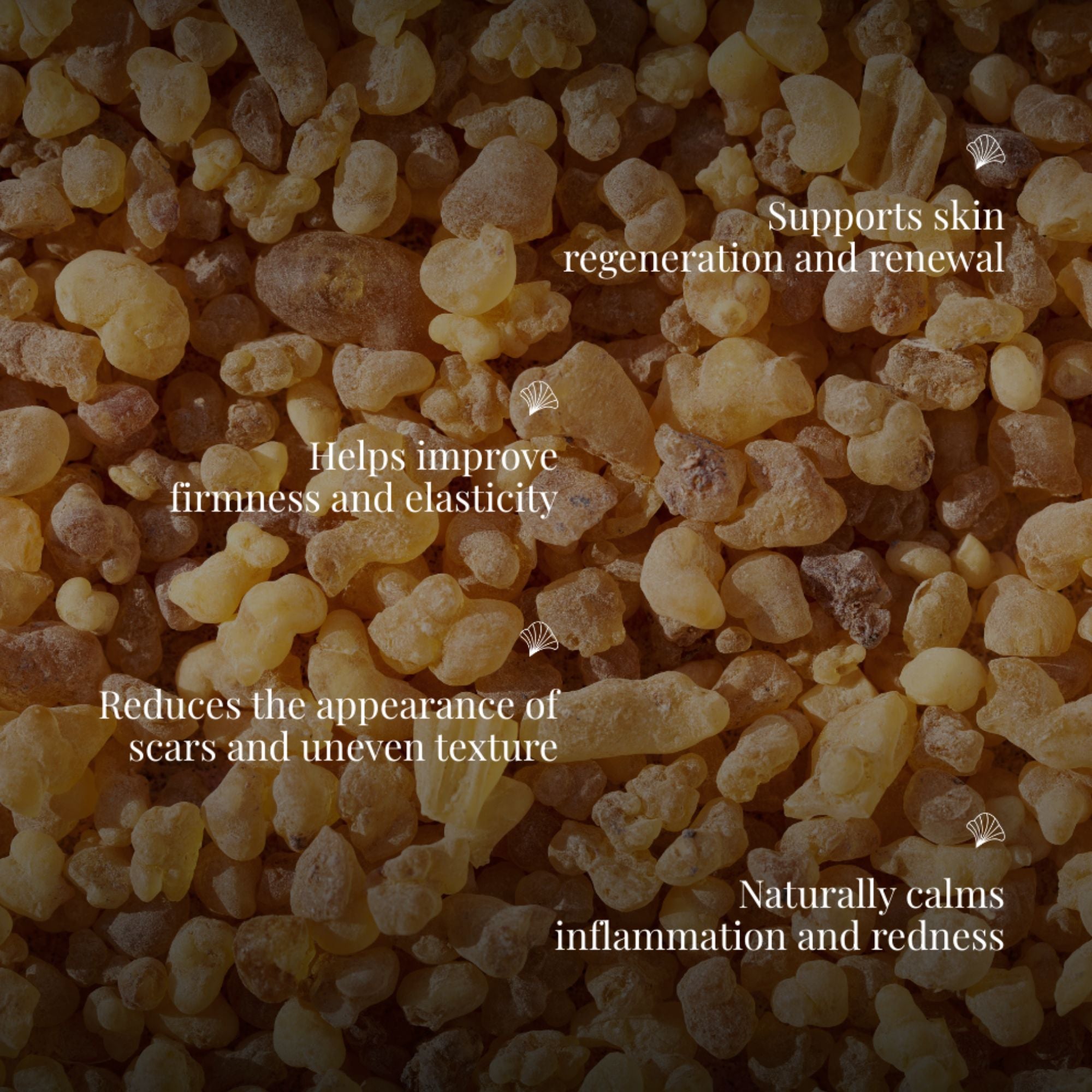 Handmade Cold Processed Organic Frankincense Soap