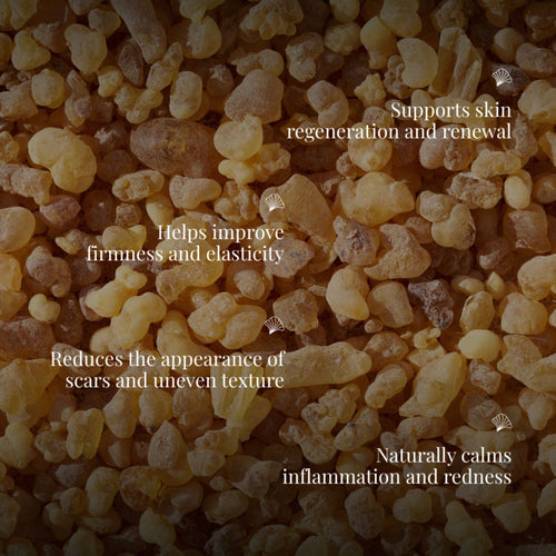 Handmade Cold Processed Organic Frankincense Soap