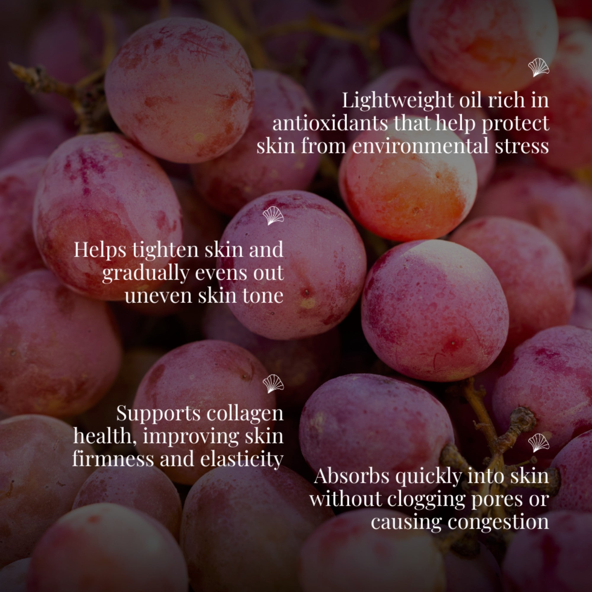 Cold Pressed Grapeseed Oil Extra Virgin