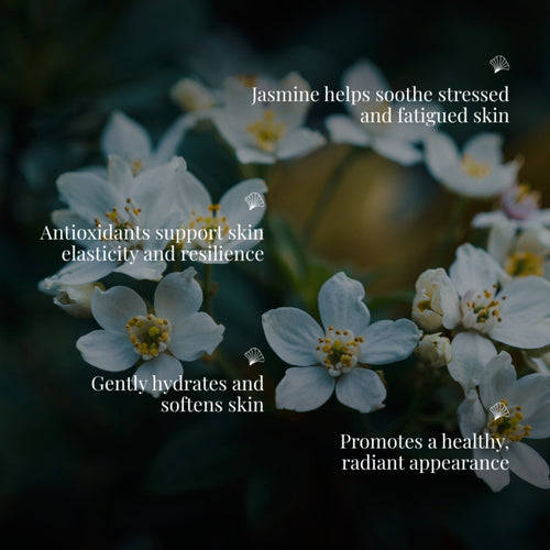 Handmade Cold Processed Luxury Organic Jasmine Soap