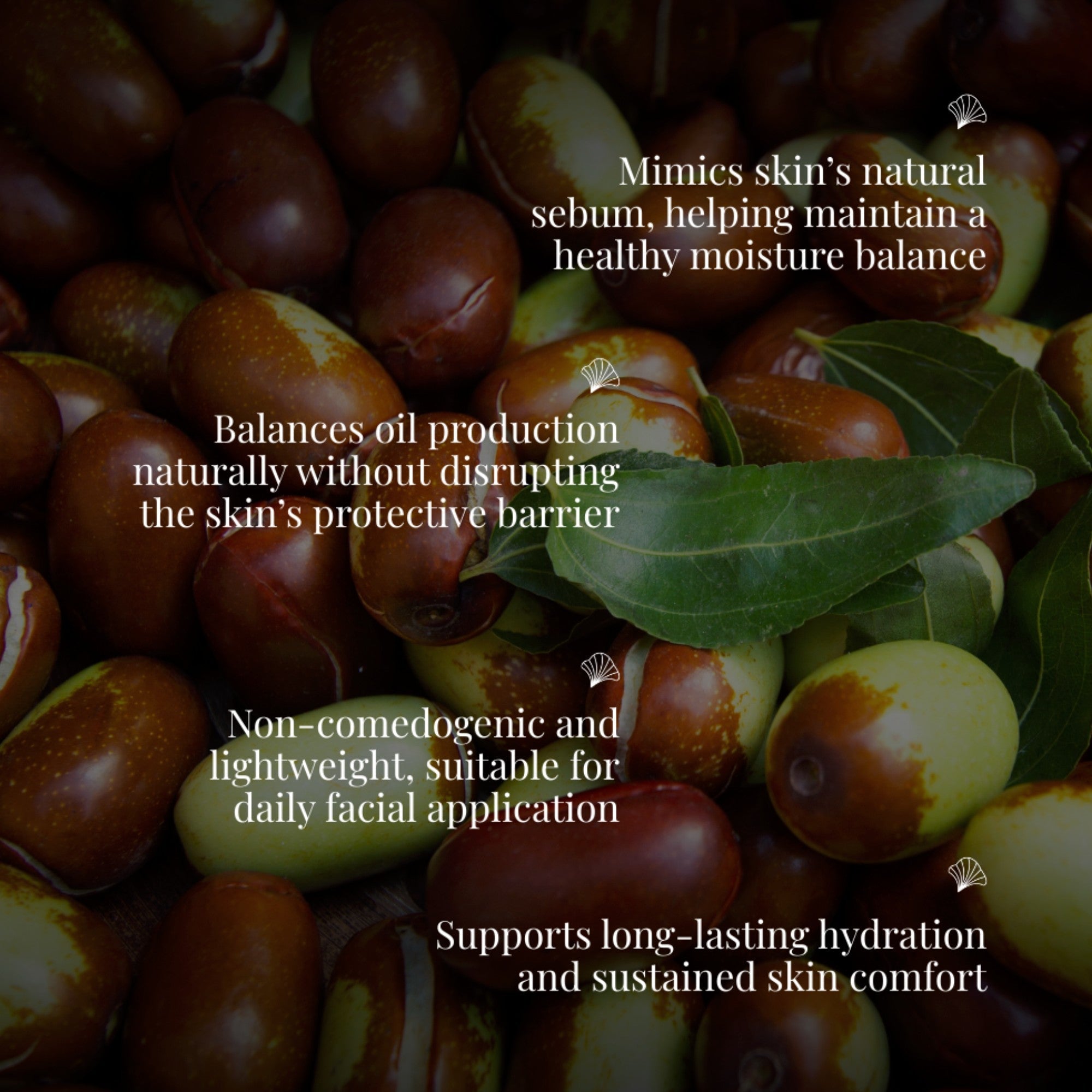 Cold Pressed Jojoba Oil Extra Virgin