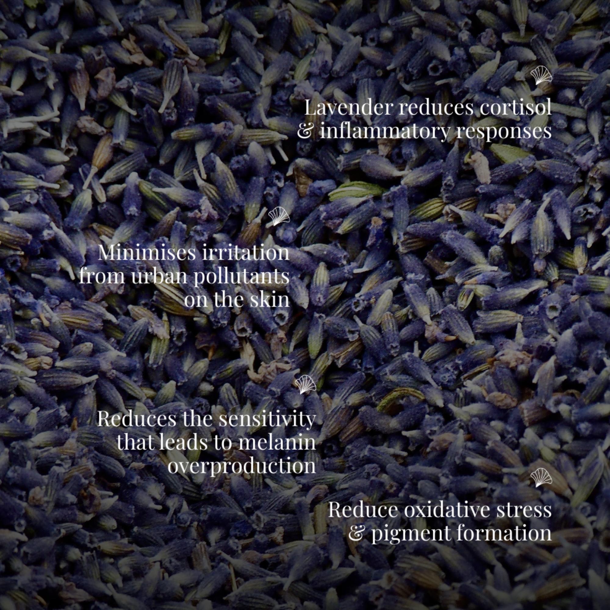 Handmade Cold Processed Organic Lavender Soap