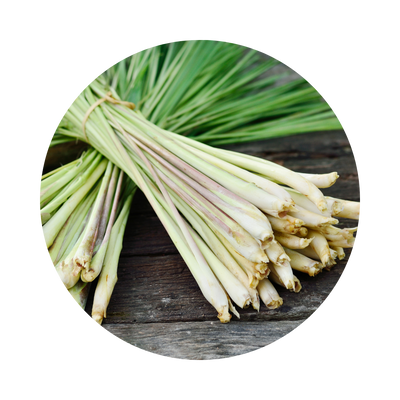 LEMONGRASS