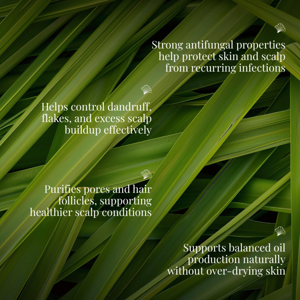 Scalp Hydration Super Saver Combo - Olive Oil & Lemongrass Oil