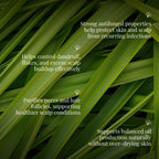 Scalp Hydration Super Saver Combo - Olive Oil & Lemongrass Oil