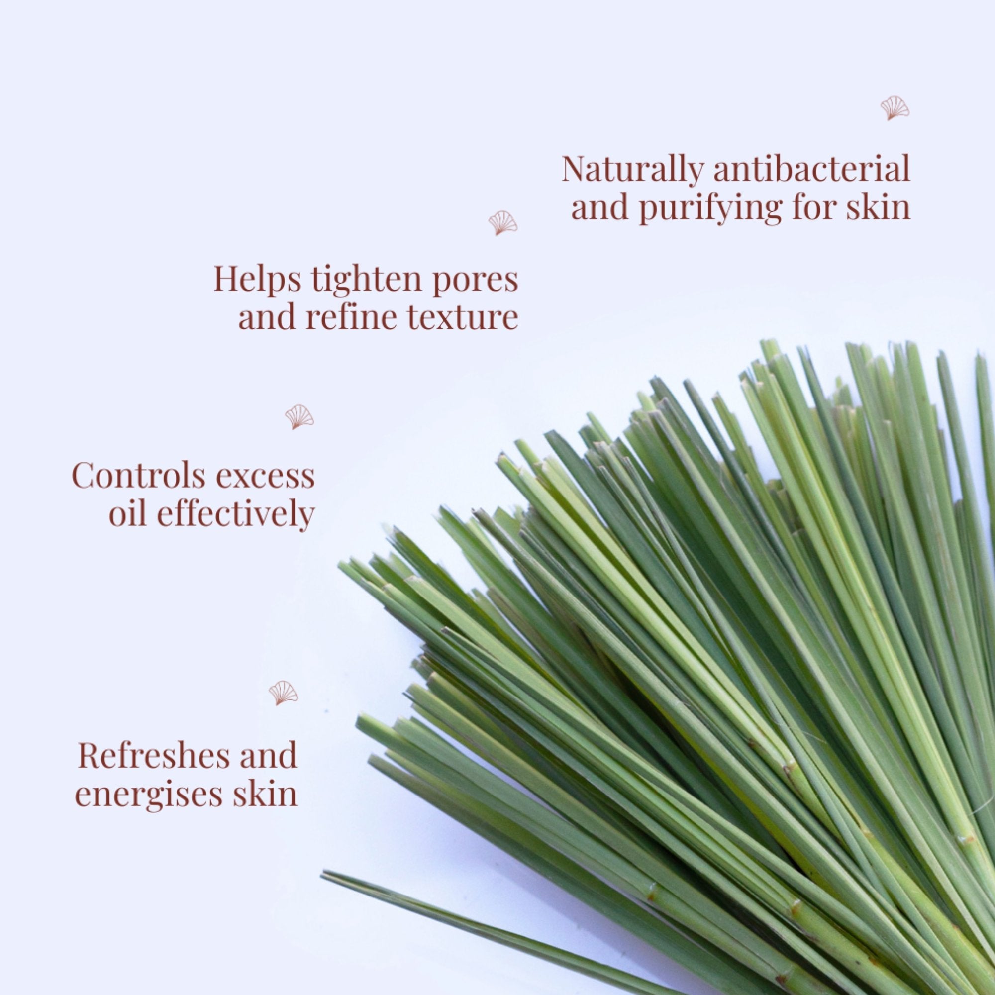Handmade Cold Processed Organic Lemongrass Soap