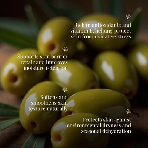 Cold Pressed Olive Oil Extra Virgin  250ML - Pack of 4