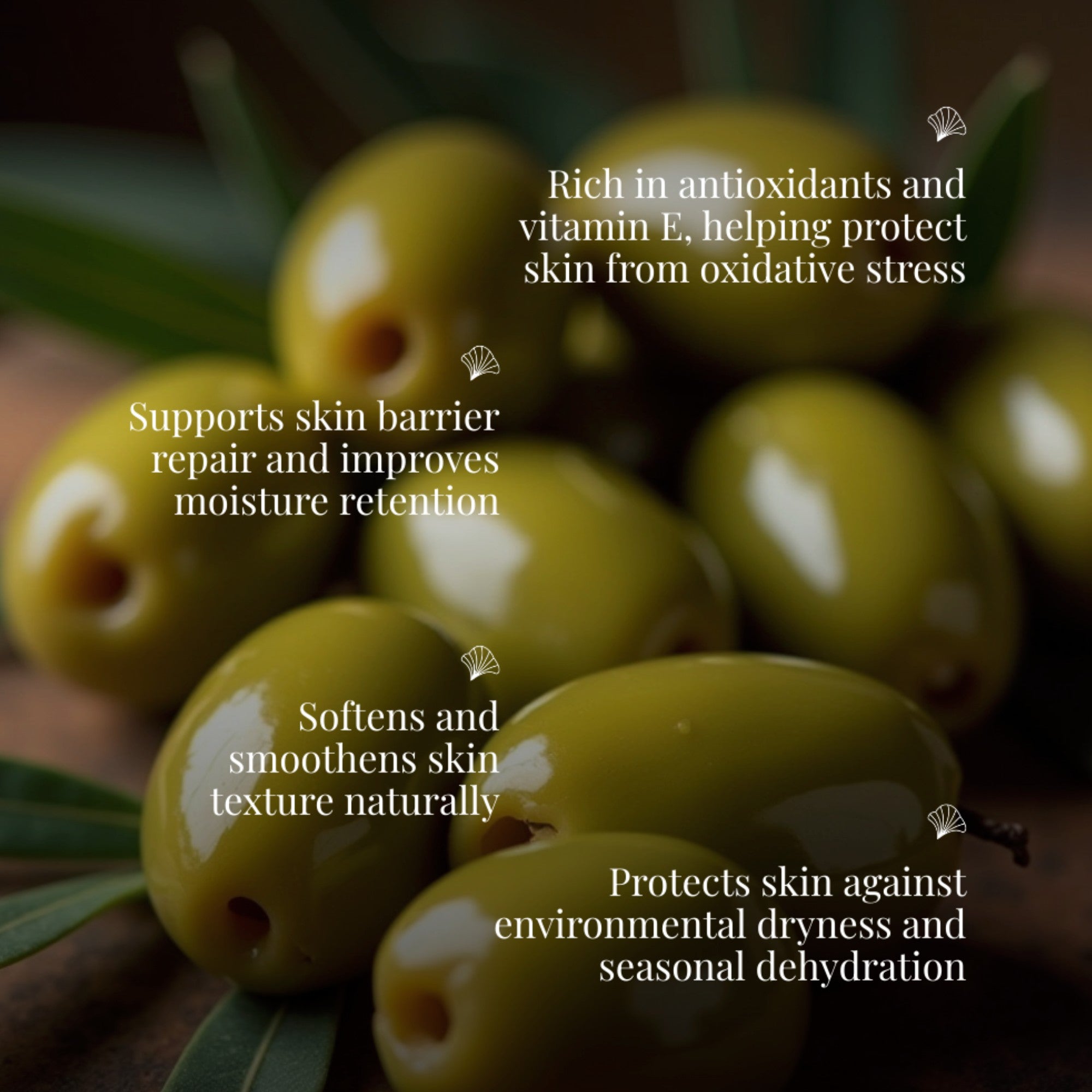 Cold Pressed Olive Oil Extra Virgin
