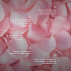 rose_fash_wash_benefit 