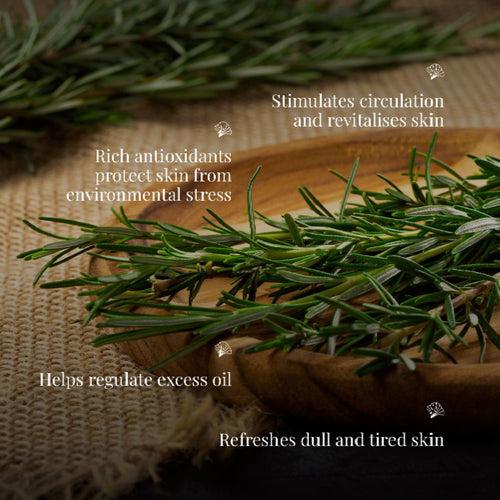 Handmade Cold Processed Organic Rosemary Soap