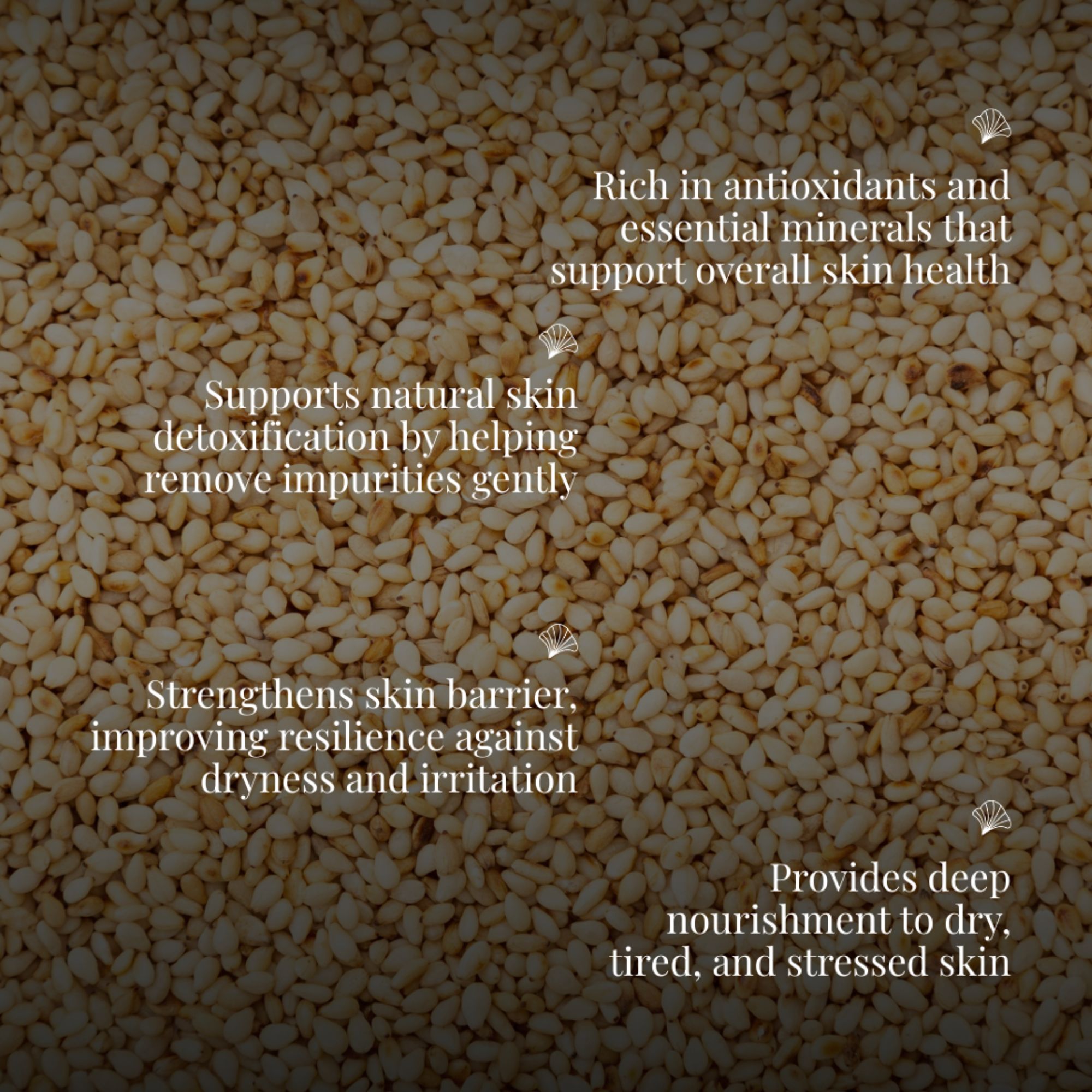 Cold Pressed Sesame Oil Extra Virgin