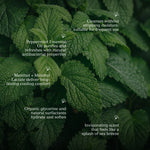 Load image into Gallery viewer, ocean_mist_hand_wash
